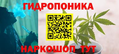 МДПВ Вышний Волочёк