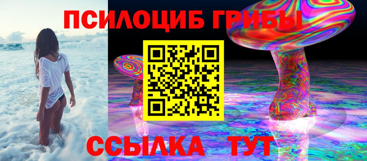 Псилоцибиновые грибы MAGIC MUSHROOMS  Вход с VPN  Карталы 
